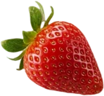 fruits